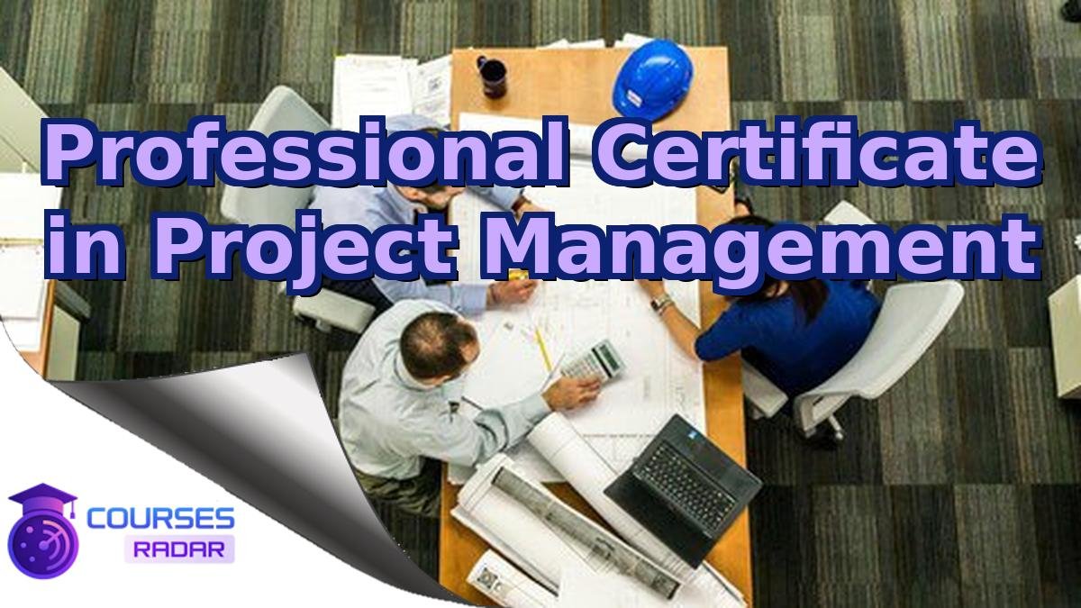 Professional Certificate in Project Management