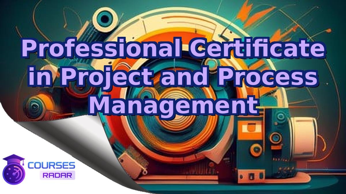 Professional Certificate in Project and Process Management