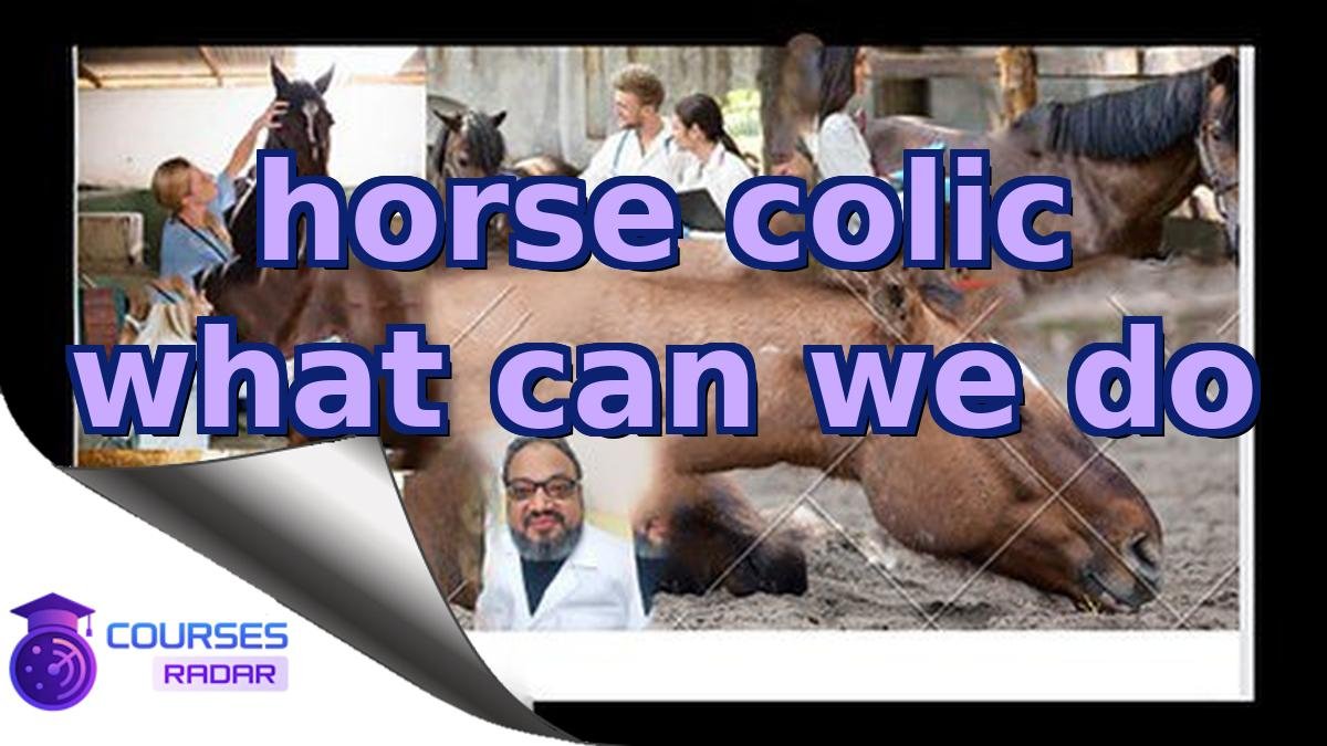 horse colic what can we do