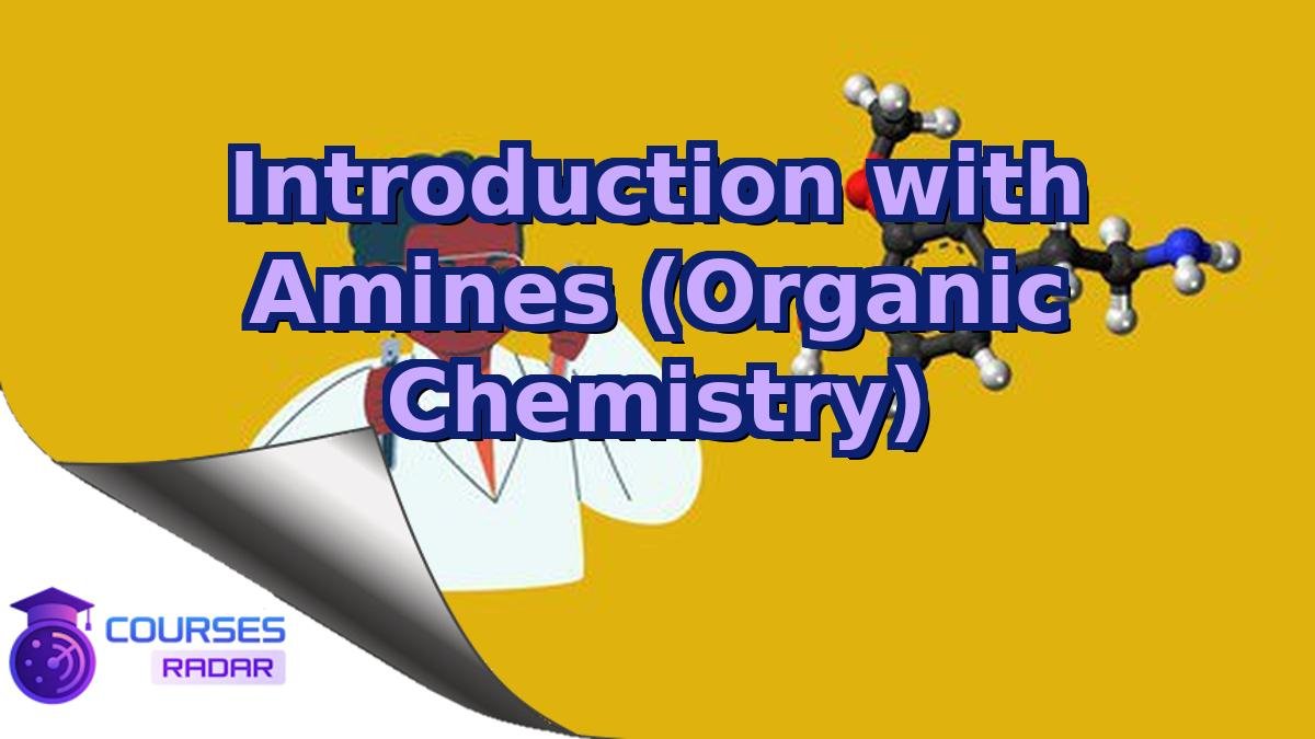 Introduction with Amines (Organic Chemistry)