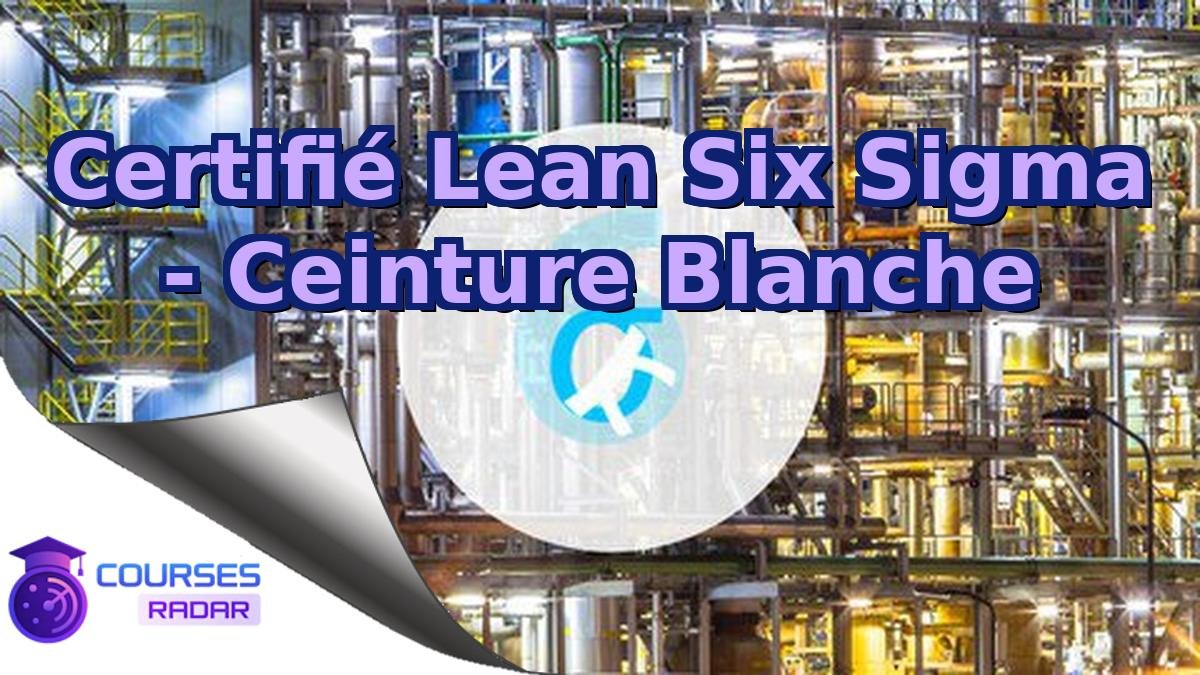 Certifié Lean Six Sigma - Ceinture Blanche
