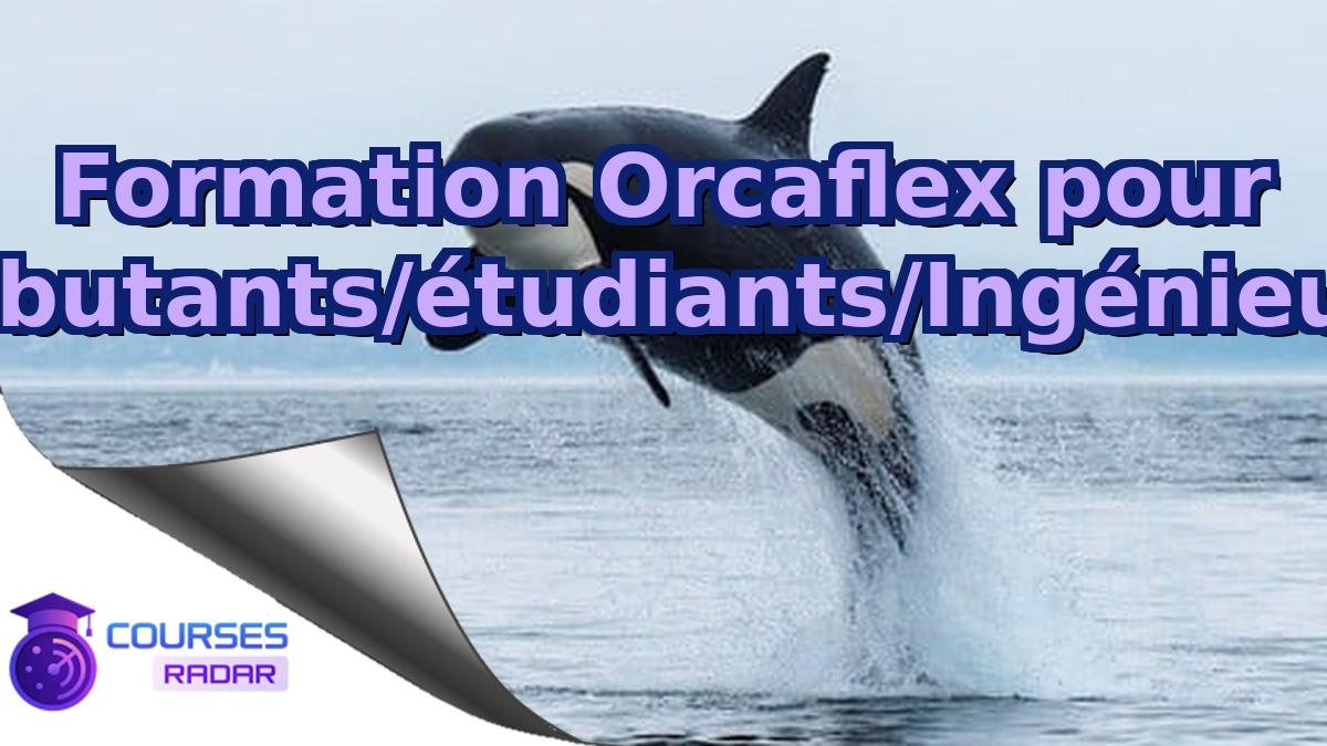 Formation Orcaflex pour débutants/étudiants/Ingénieurs