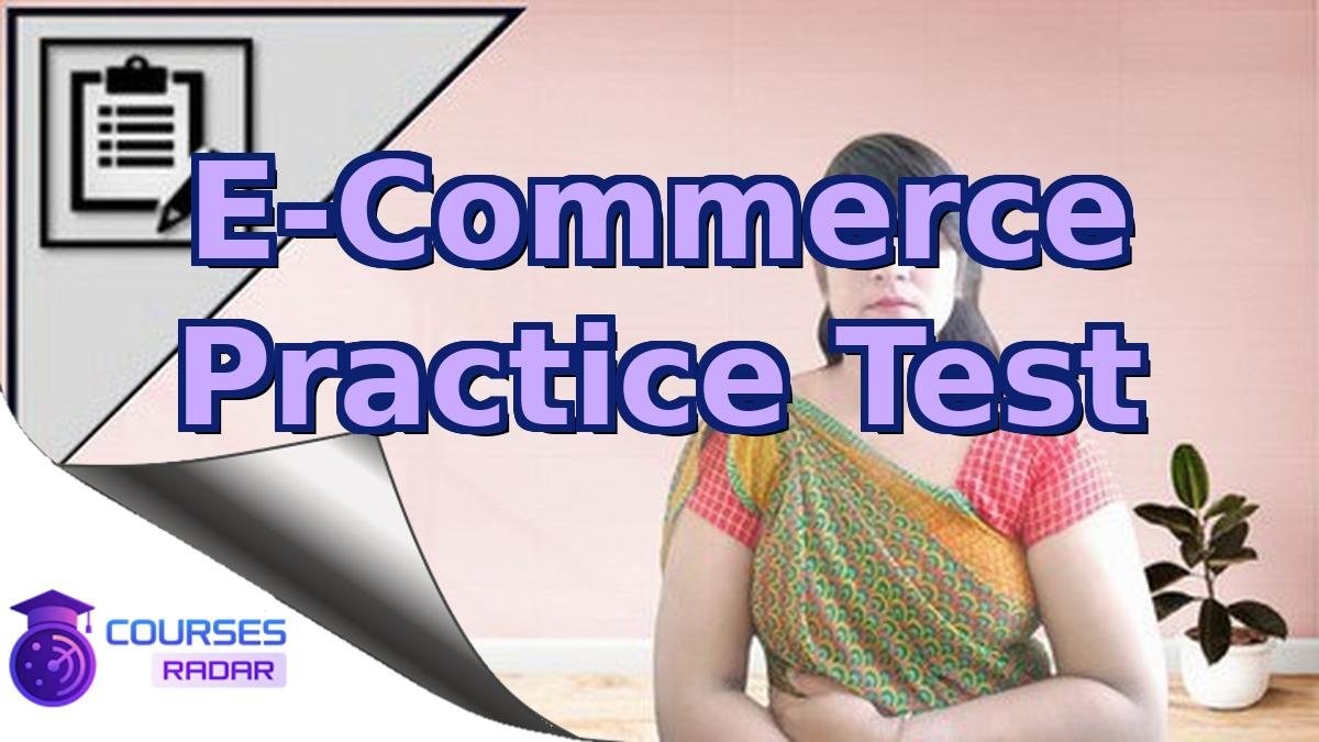 E-Commerce Practice Test