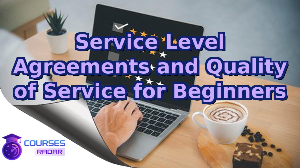 Service Level Agreements and Quality of Service for Beginners