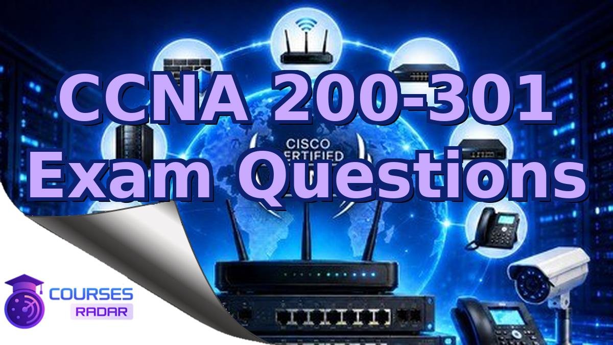 CCNA 200-301 Exam Questions