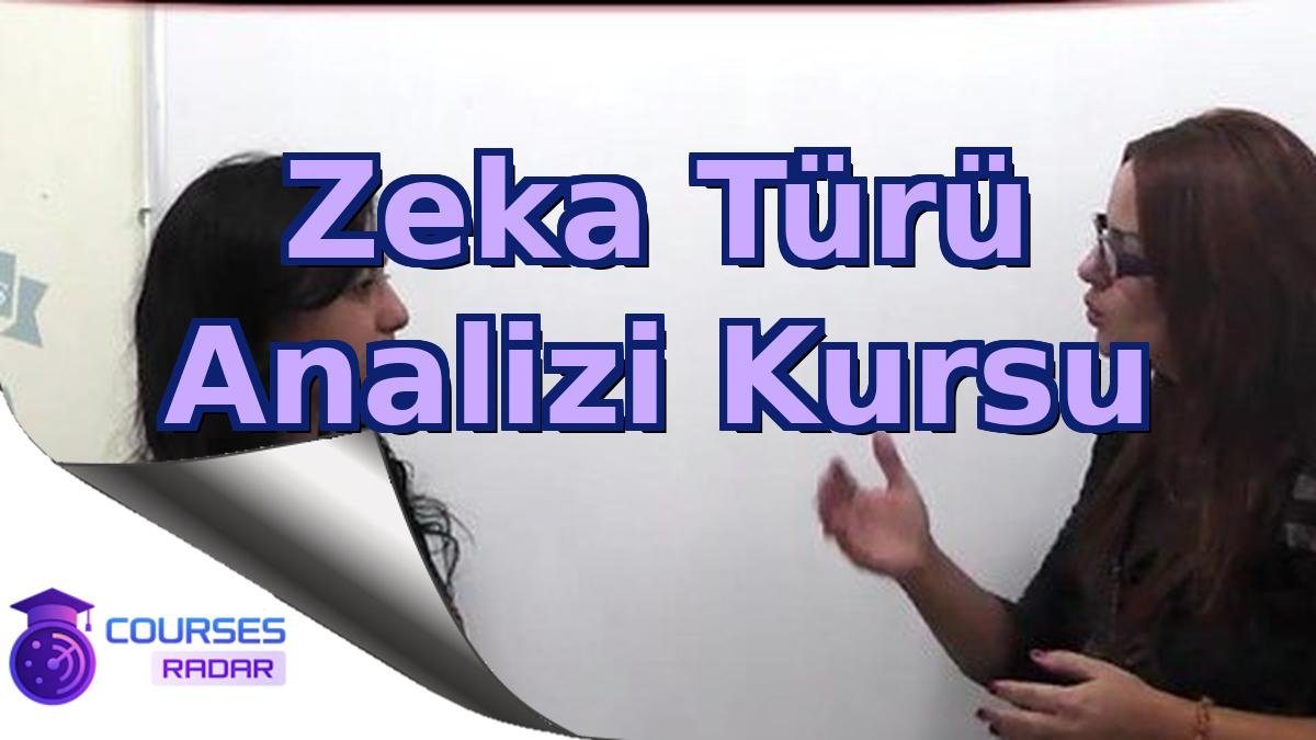 Zeka Türü Analizi Kursu