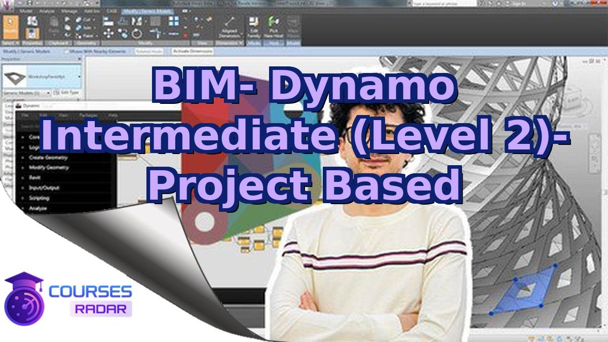 BIM- Dynamo Intermediate (Level 2)- Project Based