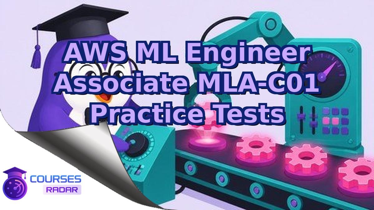 AWS ML Engineer Associate MLA-C01 Practice Tests